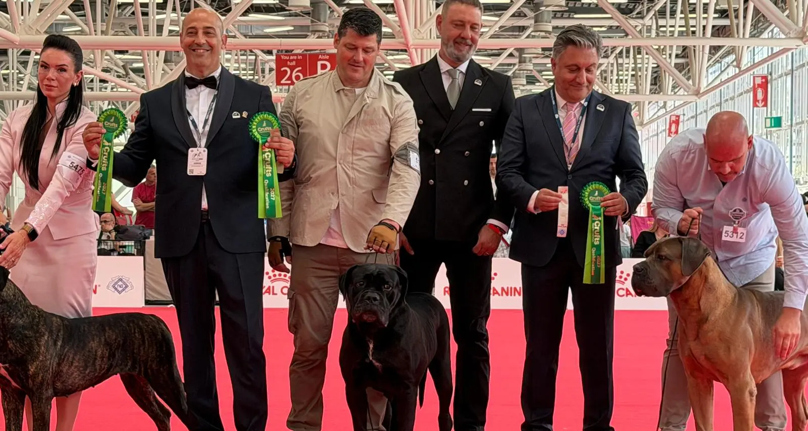 Trionfo Tricolore a Bologna: Il cane corso 'Gressa della Casata Pungillo' di Catanzaro è Campionessa del Mondo 2026\n