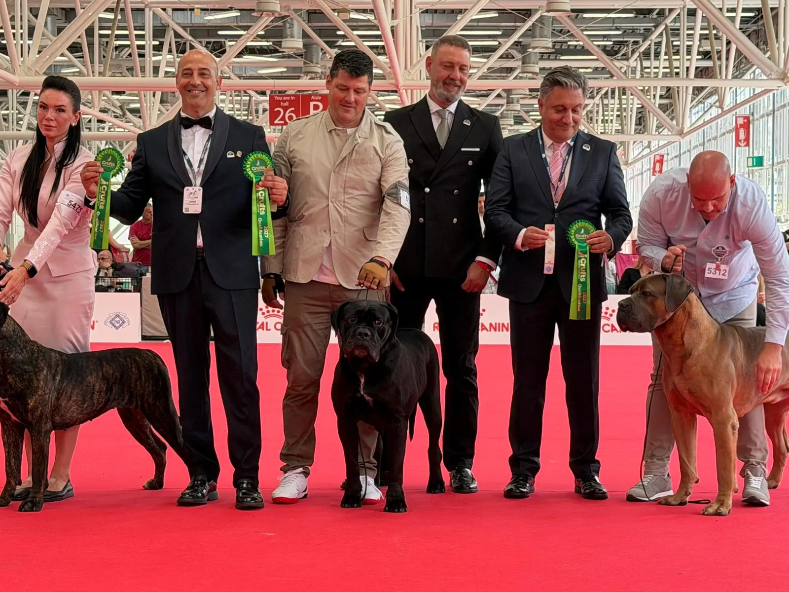 Trionfo Tricolore a Bologna: Il cane corso 'Gressa della Casata Pungillo' di Catanzaro è Campionessa del Mondo 2026\n