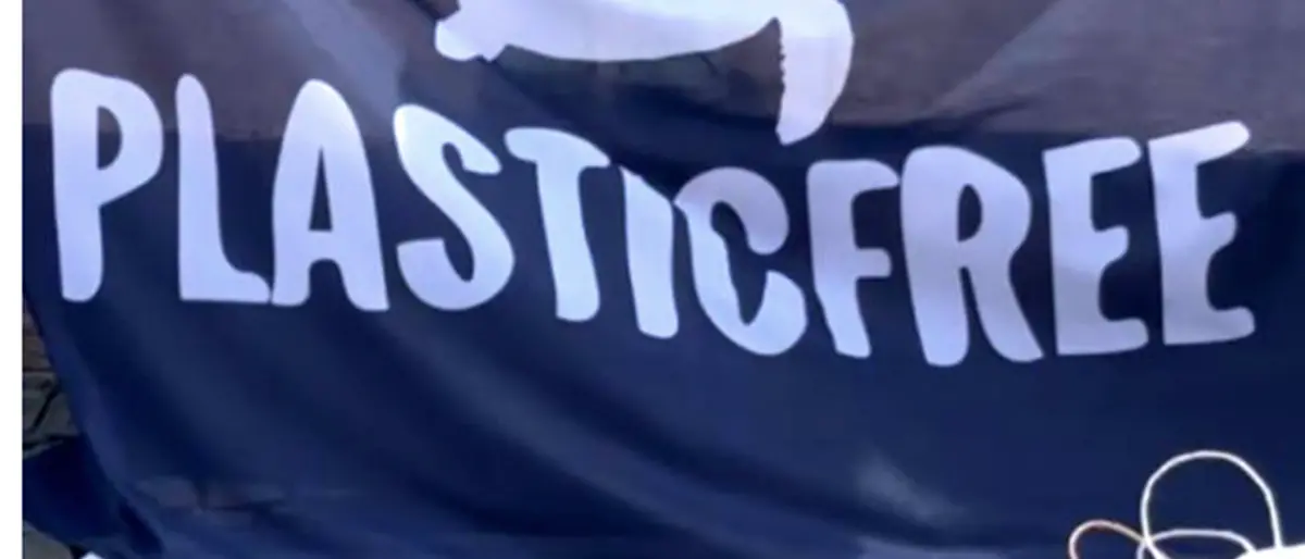 Plastic Free Reggio, al Tempietto il prossimo clean up dedicato alla raccolta dei mozziconi\n