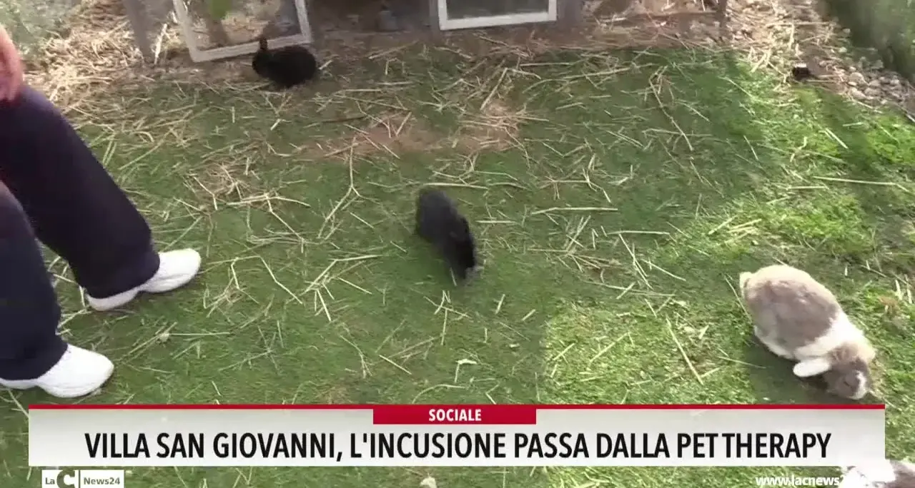 Villa San Giovanni, l'inclusione passa dalla pet therapy