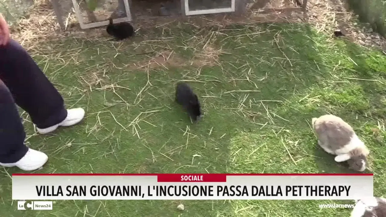 Villa San Giovanni, l'inclusione passa dalla pet therapy