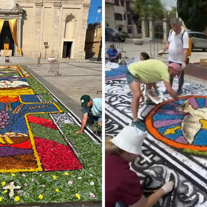 <p>Vibo, incanta l’infiorata per il Corpus Domini <span style=\"color:hsl(0, 75%, 60%);\">davanti al Duomo</span>: «Un tappeto di petali per il Santissimo sacramento»</p>