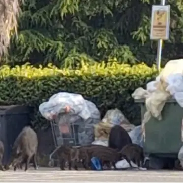 Parcheggio Via Da Fiore, la prima ‘famigliola’ fa la spesa di buon mattino