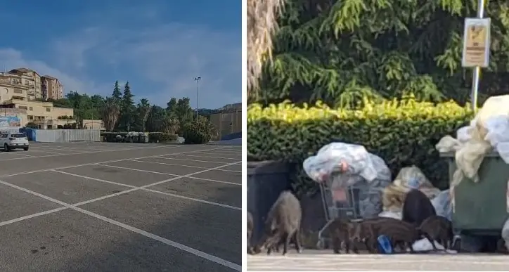 Parcheggio Via Da Fiore, la prima ‘famigliola’ fa la spesa di buon mattino