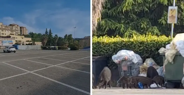 Parcheggio Via Da Fiore, la prima ‘famigliola’ fa la spesa di buon mattino