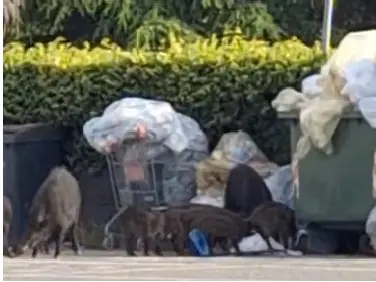 Parcheggio Via Da Fiore, la prima ‘famigliola’ fa la spesa di buon mattino