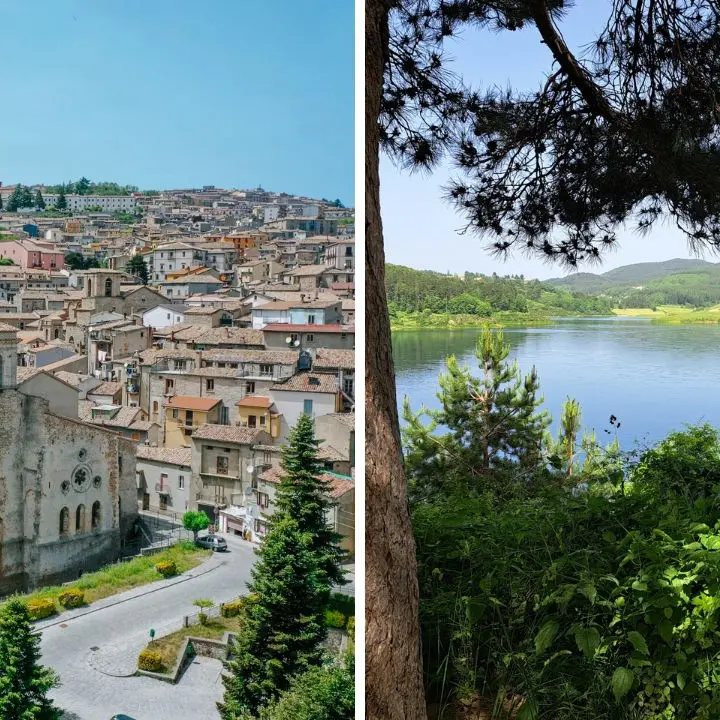 San Giovanni in Fiore, il gigante verde d’Italia: la Sila sul podio nazionale delle foreste\n