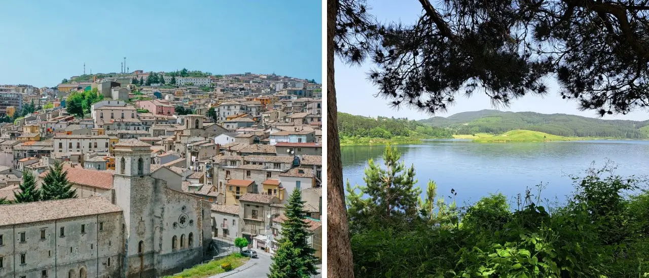 San Giovanni in Fiore, il gigante verde d’Italia: la Sila sul podio nazionale delle foreste\n