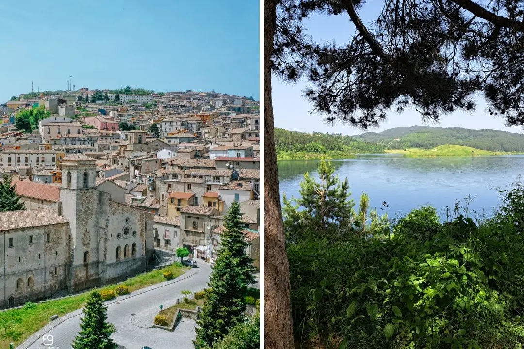 San Giovanni in Fiore, il gigante verde d’Italia: la Sila sul podio nazionale delle foreste\n
