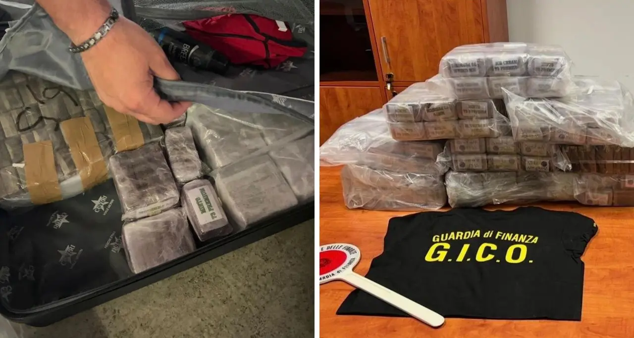 Traffico di droga tra Palermo, Calabria e Campania: sei misure cautelari e 80 chili sequestrati\n