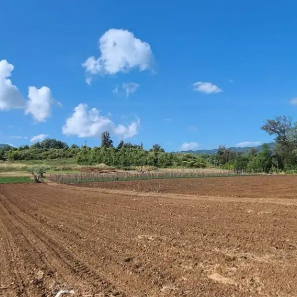 Laino Borgo, la\u00A0campagna\u00A0scavi entra nel vivo: riflettori sul grande sito archeologico di Santa Gada\n