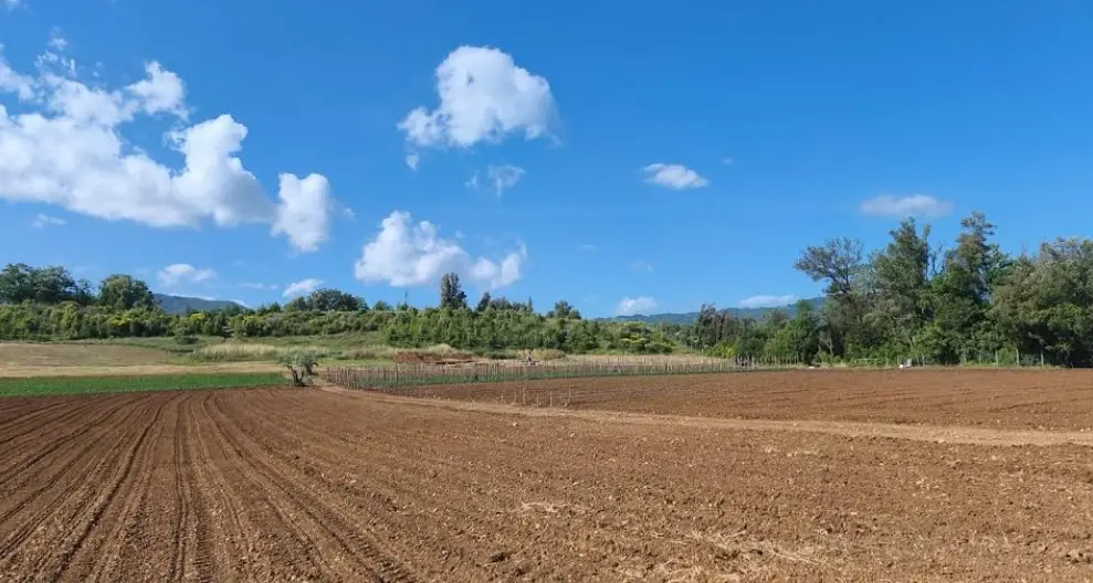 Laino Borgo, la\u00A0campagna\u00A0scavi entra nel vivo: riflettori sul grande sito archeologico di Santa Gada\n