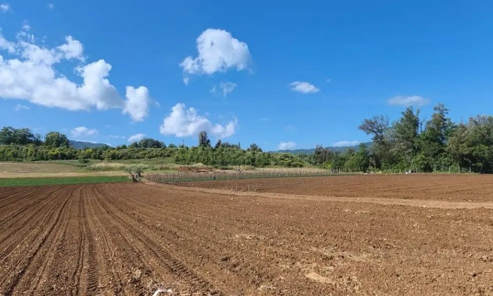 Laino Borgo, la\u00A0campagna\u00A0scavi entra nel vivo: riflettori sul grande sito archeologico di Santa Gada\n