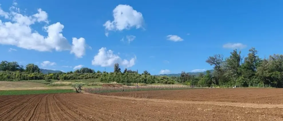 Laino Borgo, la\u00A0campagna\u00A0scavi entra nel vivo: riflettori sul grande sito archeologico di Santa Gada\n