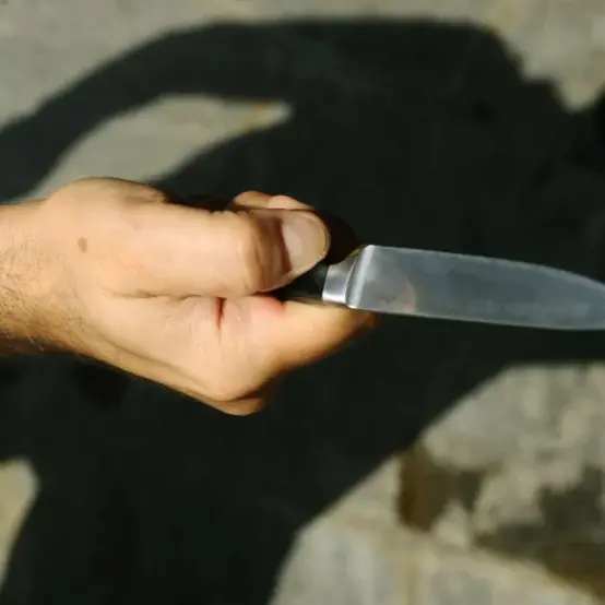 Fu colpita con 19 coltellate dal fratello schizofrenico nel 2019: «Ora sta per tornare libero e ho paura»\n