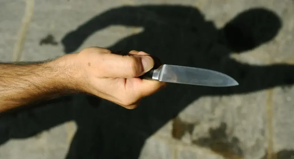 Fu colpita con 19 coltellate dal fratello schizofrenico nel 2019: «Ora sta per tornare libero e ho paura»\n