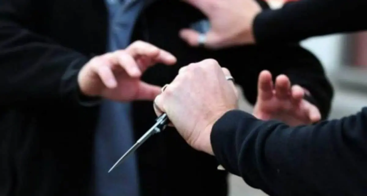 Sopravvissuta a 19 coltellate del fratello: «Potrebbe tornare libero e sono terrorizzata»\n