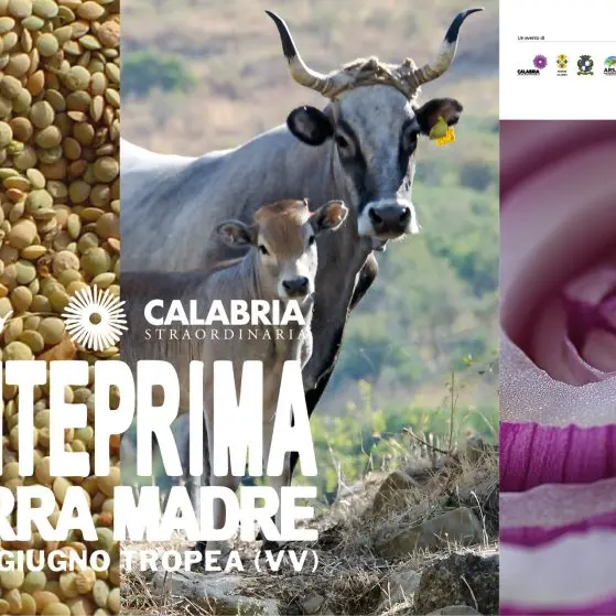 Terra Madre sbarca a Tropea, anteprima calabrese all’insegna della biodiversità per l’evento simbolo di Slow Food\n