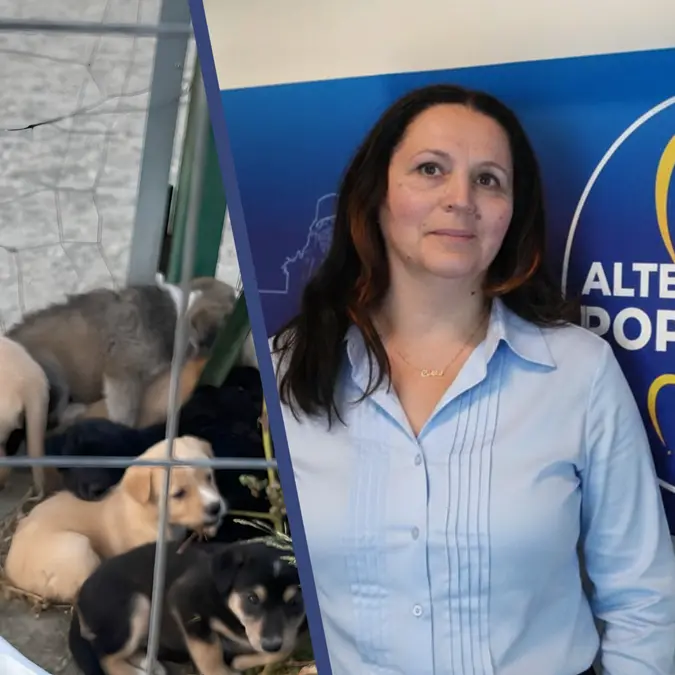 Altri nove cuccioli abbandonati a Reggio,\u00A0Papaianni (Alternativa Popolare Calabria): «Serve impegno comune per contrastare il fenomeno»\n