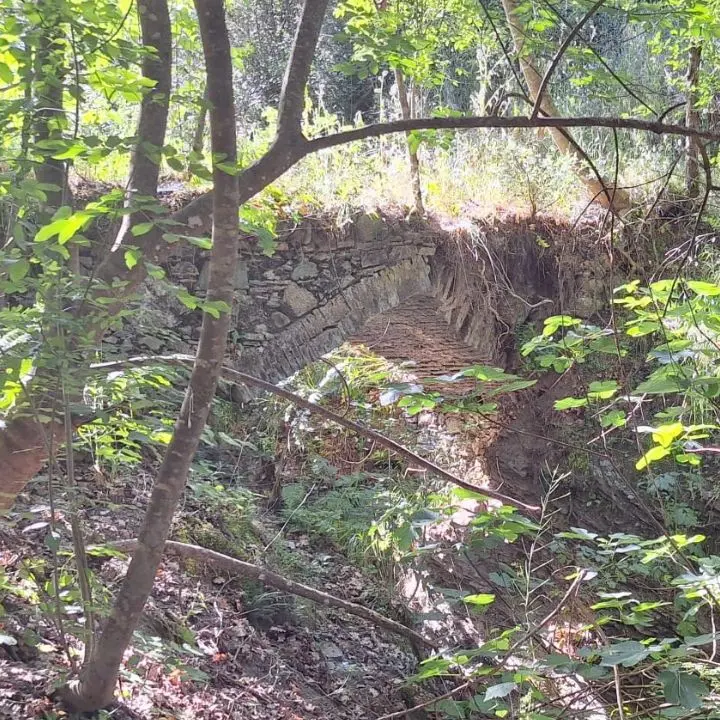 San Martino di Finita,\u00A0un antico ponte riemerge dal passato del piccolo borgo\u00A0arbëreshë\n