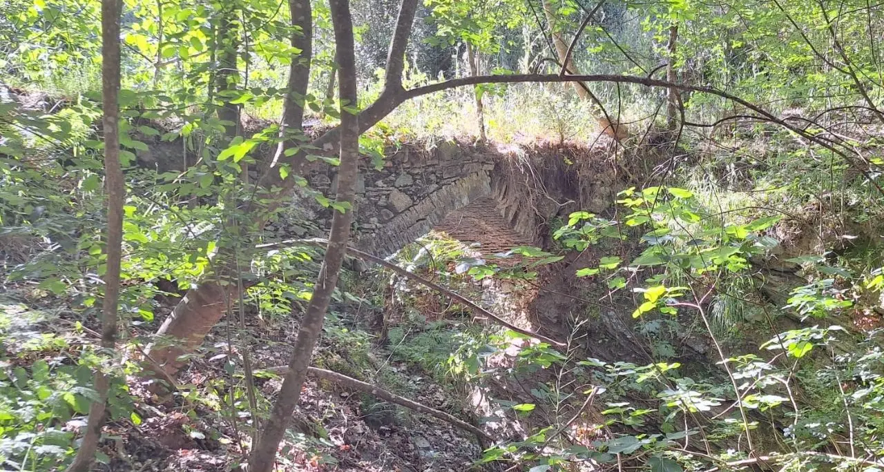 San Martino di Finita,\u00A0un antico ponte riemerge dal passato del piccolo borgo\u00A0arbëreshë\n