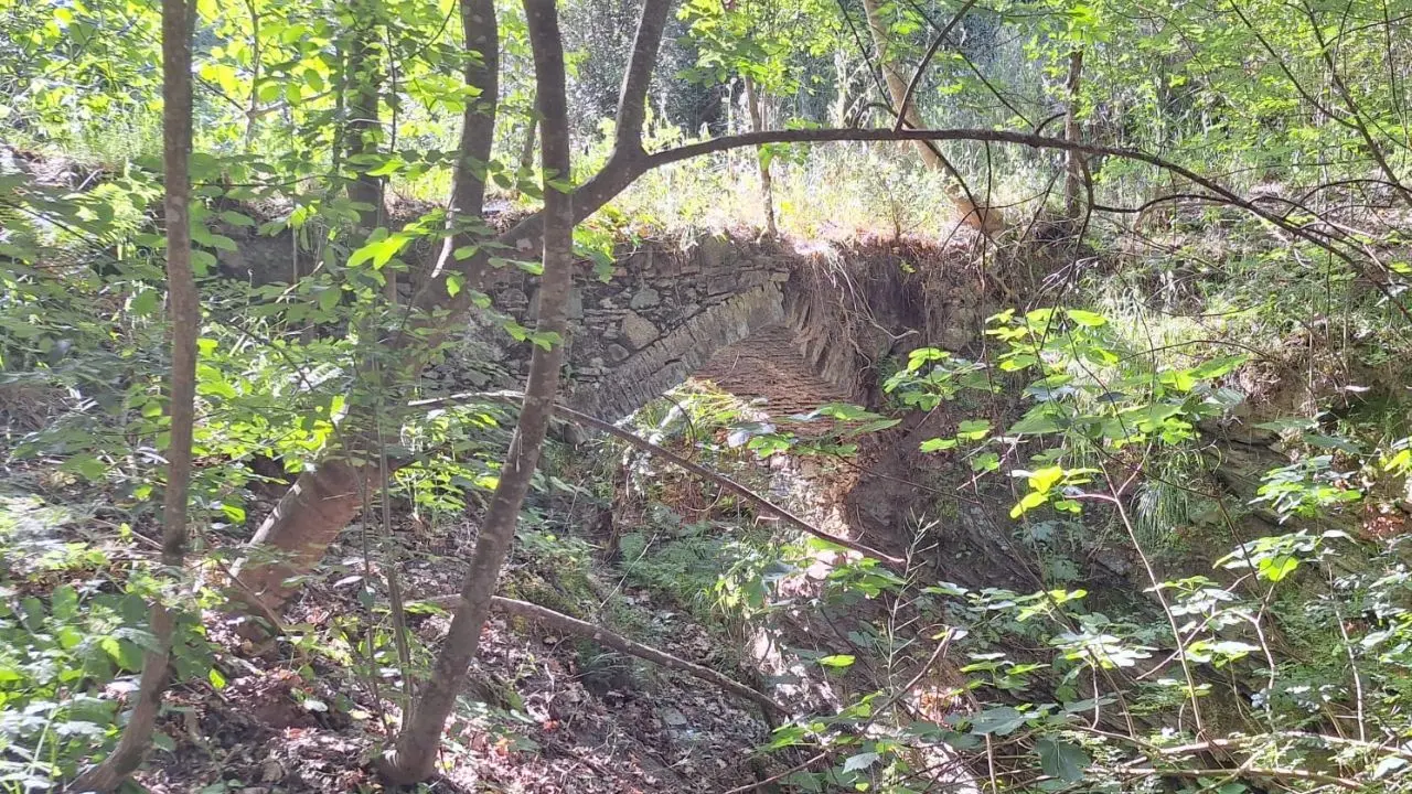 San Martino di Finita,\u00A0un antico ponte riemerge dal passato del piccolo borgo\u00A0arbëreshë\n