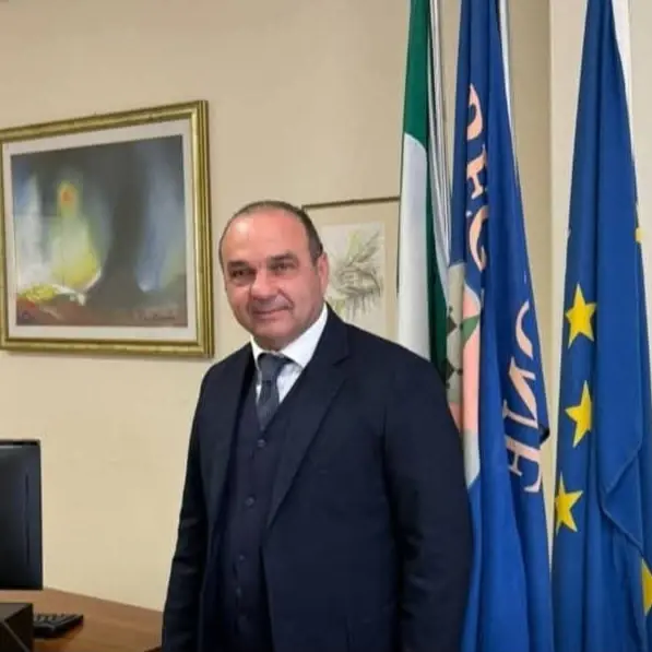 Sacal, Bevilacqua: «Il Comune di Lamezia Terme torni protagonista nella governance»\n