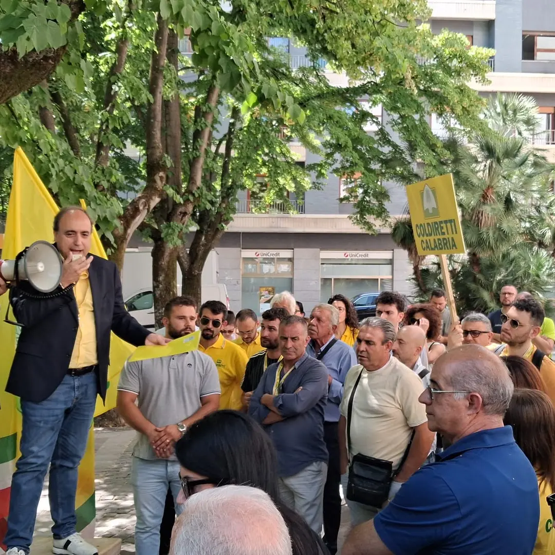 Cosenza, grano e olio al centro della protesta degli agricoltori della Coldiretti
