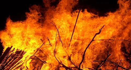 Rende, stretta contro incendi e degrado: nuova ordinanza del sindaco Principe per terreni, boschi e aree private\n
