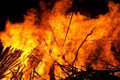 Rende, stretta contro incendi e degrado: nuova ordinanza del sindaco Principe per terreni, boschi e aree private\n