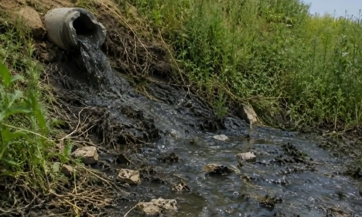 Liquami fognari a Portapiana, Spadafora sollecita Comune, Kratos e Valle Crati\n
