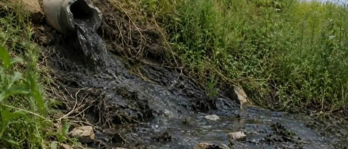Liquami fognari a Portapiana, Spadafora sollecita Comune, Kratos e Valle Crati\n