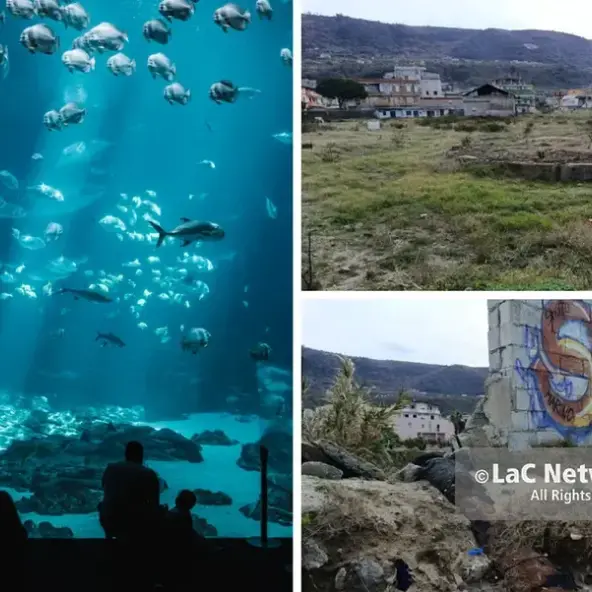 Acquario da 8 milioni a\u00A0Vibo Marina, Pisani (M5s): «Progetto coerente con la vocazione turistica del territorio»\n