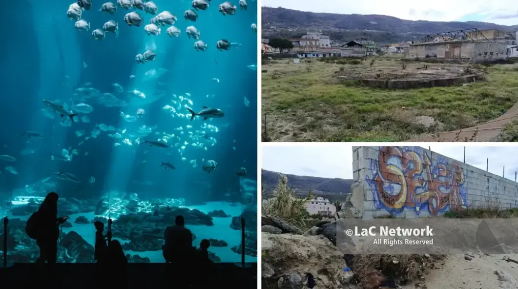Acquario da 8 milioni a\u00A0Vibo Marina, Pisani (M5s): «Progetto coerente con la vocazione turistica del territorio»\n