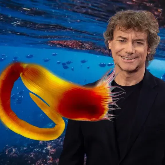 Una nuova specie\u00A0marina scoperta nelle acque\u00A0del Salento: i ricercatori la chiamano Alberto Angela\n