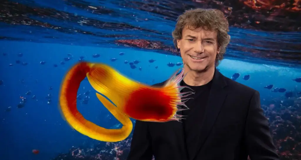 Una nuova specie\u00A0marina scoperta nelle acque\u00A0del Salento: i ricercatori la chiamano Alberto Angela\n