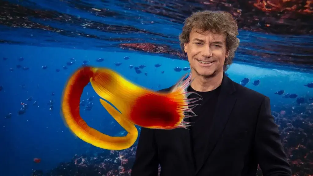 Una nuova specie\u00A0marina scoperta nelle acque\u00A0del Salento: i ricercatori la chiamano Alberto Angela\n