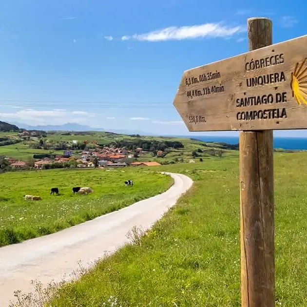 Cammino di Santiago, il viaggio che cambia la vita: le tratte più belle, quanto costa e perché sempre più italiani partono a piedi\n