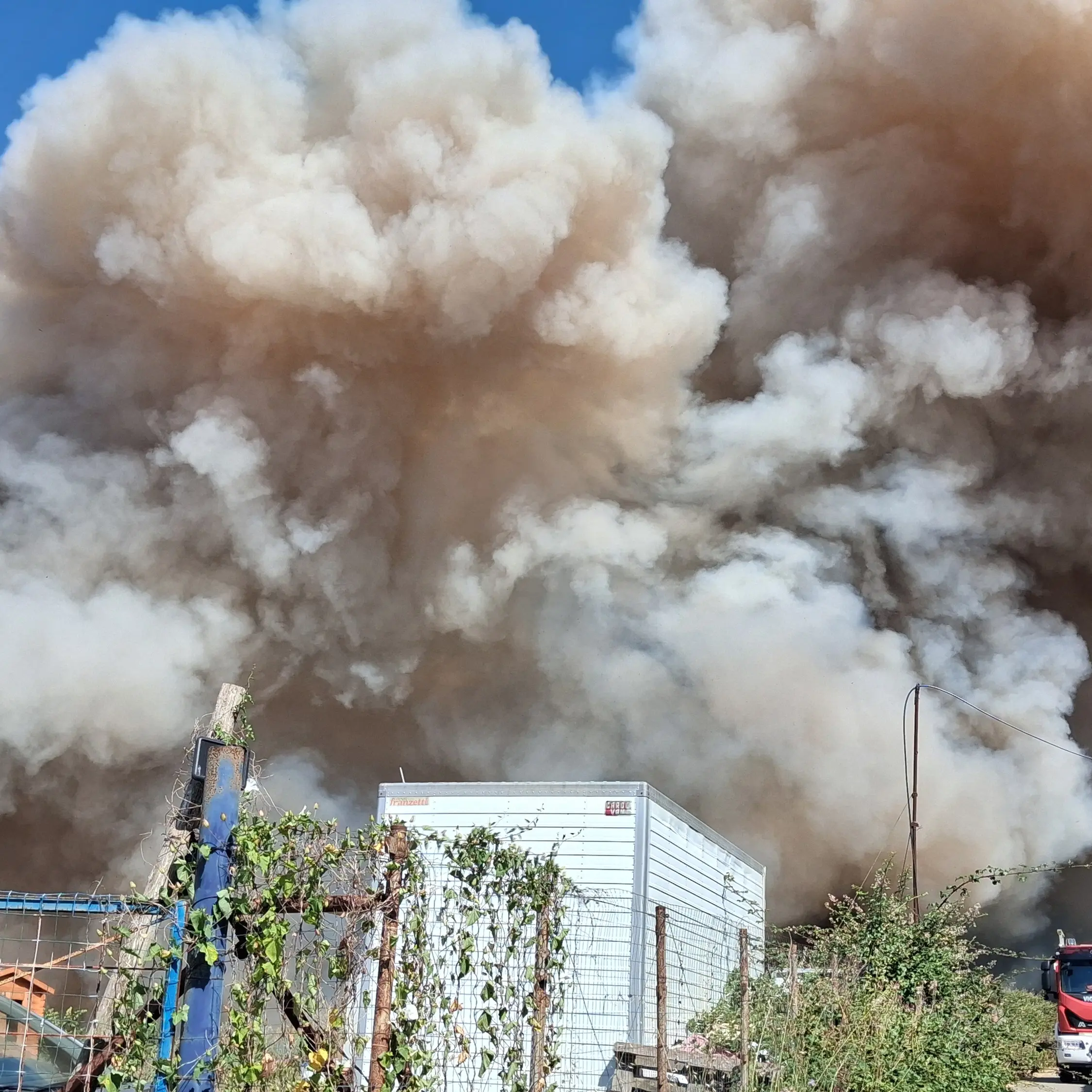 Vibo, grosso incendio nella zona industriale raggiunge il rifugio per cani: animali tutti in salvo\n