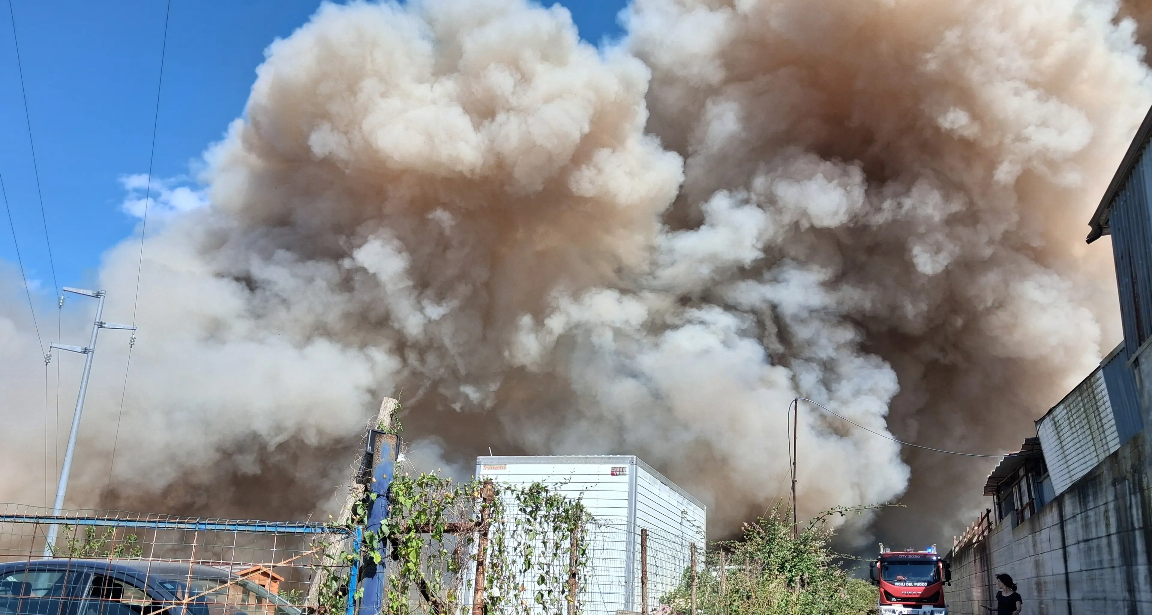 Vibo, incendio nella zona industriale raggiunge il rifugio per cani. L’allarme di Argo:\u00A0«Aiutateci»\n