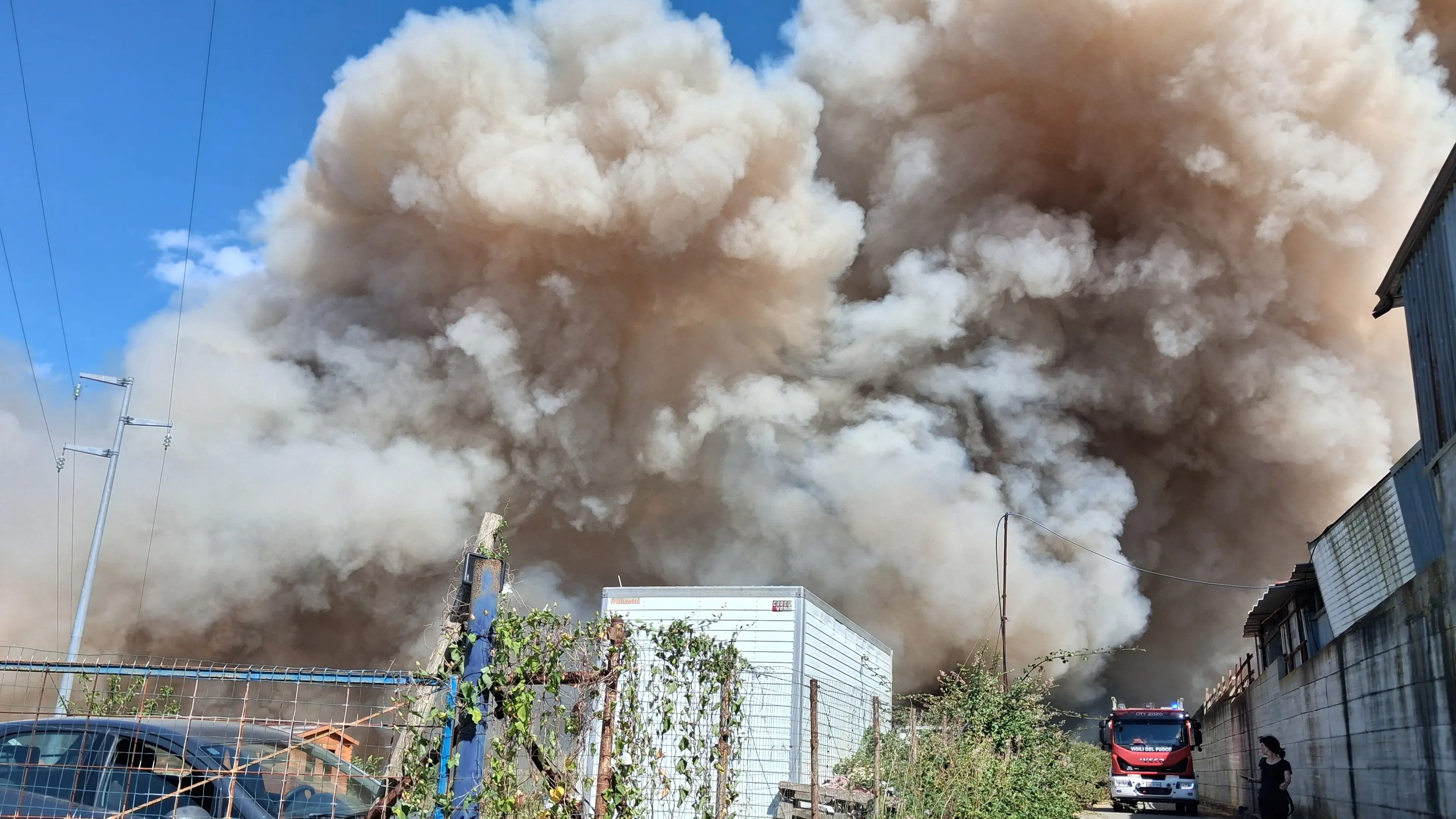 Vibo, grosso incendio nella zona industriale raggiunge il rifugio per cani: animali tutti in salvo\n