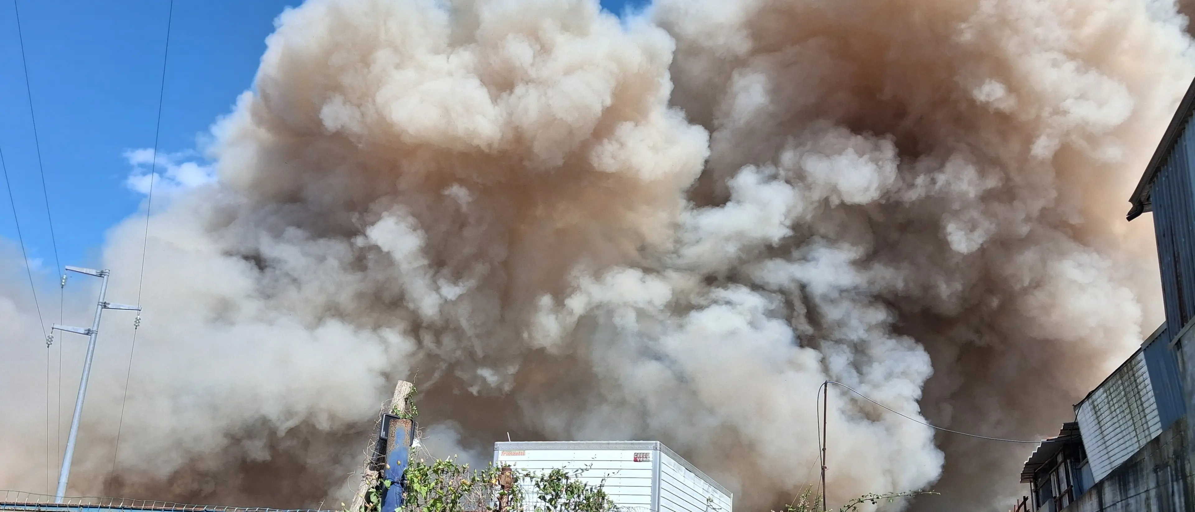 Vibo, grosso incendio nella zona industriale raggiunge il rifugio per cani: animali tutti in salvo\n