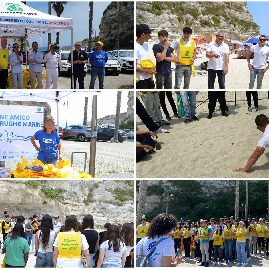 Tropea, gli studenti diventano “sentinelle del mare”: con Legambiente per riconoscere e proteggere i nidi di tartaruga\n