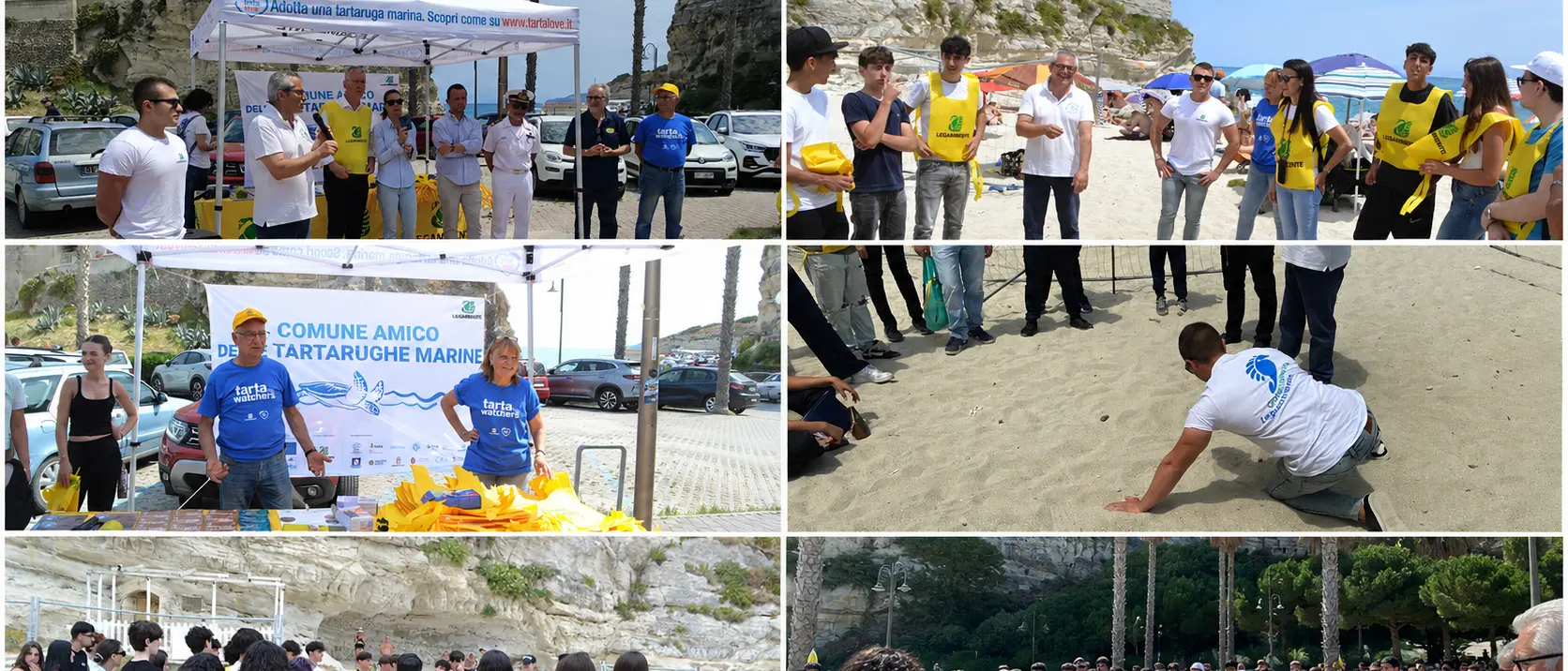 Tropea, gli studenti diventano “sentinelle del mare”: con Legambiente per riconoscere e proteggere i nidi di tartaruga\n