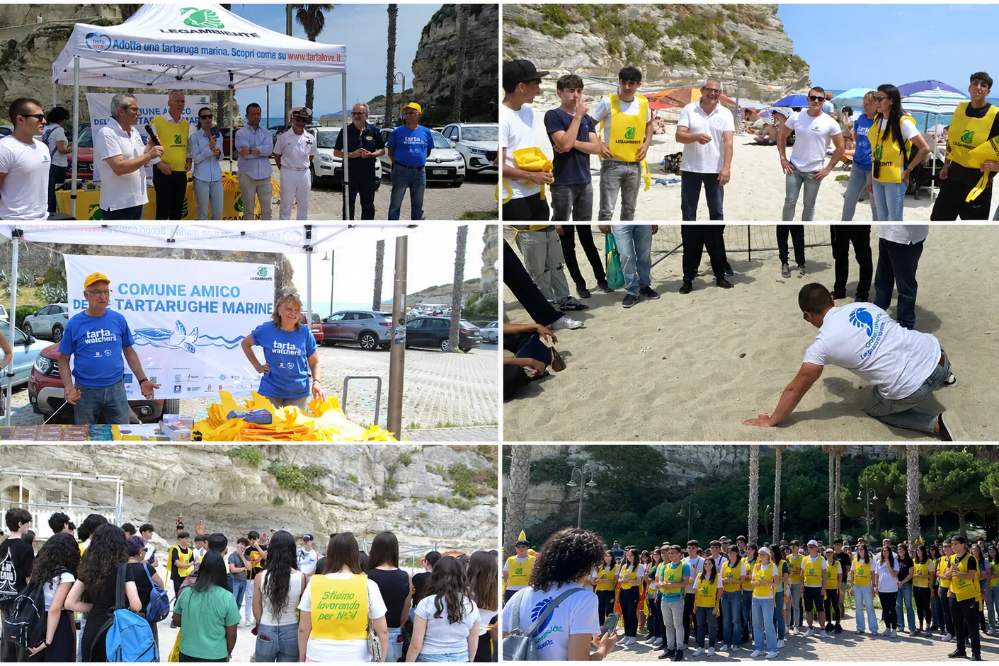Tropea, gli studenti diventano “sentinelle del mare”: con Legambiente per riconoscere e proteggere i nidi di tartaruga\n