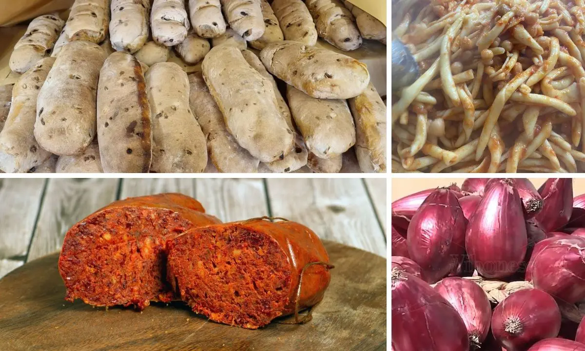 Terre Vibonesi, il nuovo marchio territoriale debutta a Tropea: «Non\u00A0un’etichetta ma una promessa»\n