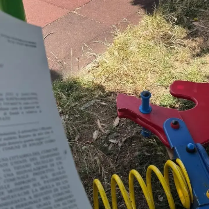 «Oggi ho perso», lo sfogo-denuncia\n\ndel sindaco Signoretta dopo i danni nel parco comunale di Jonadi\n