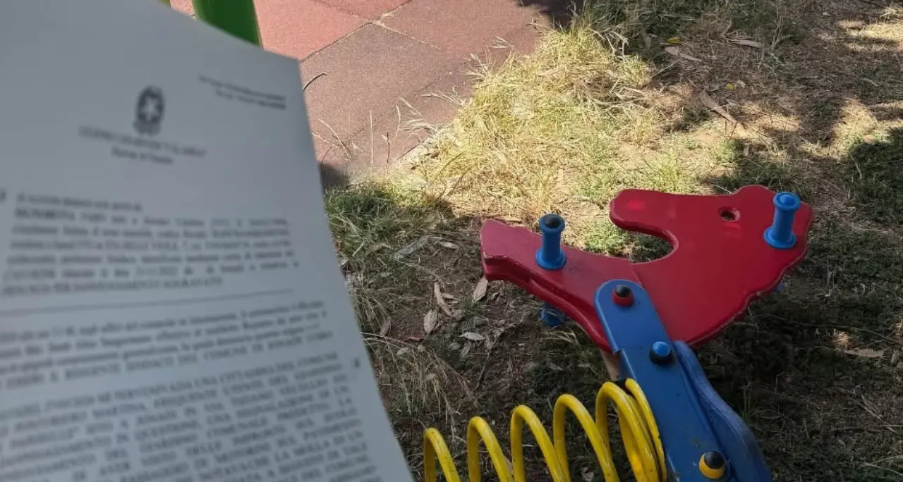 «Oggi ho perso», lo sfogo-denuncia\n\ndel sindaco Signoretta dopo i danni nel parco comunale di Jonadi\n