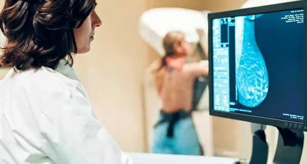 <p>Screening mammografici nel Vibonese, l’Asp rassicura dopo le polemiche: «<span style=\"color:hsl(0, 75%, 60%);\">Prenotazioni attive</span> in tre ospedali della provincia, ecco gli orari»</p>