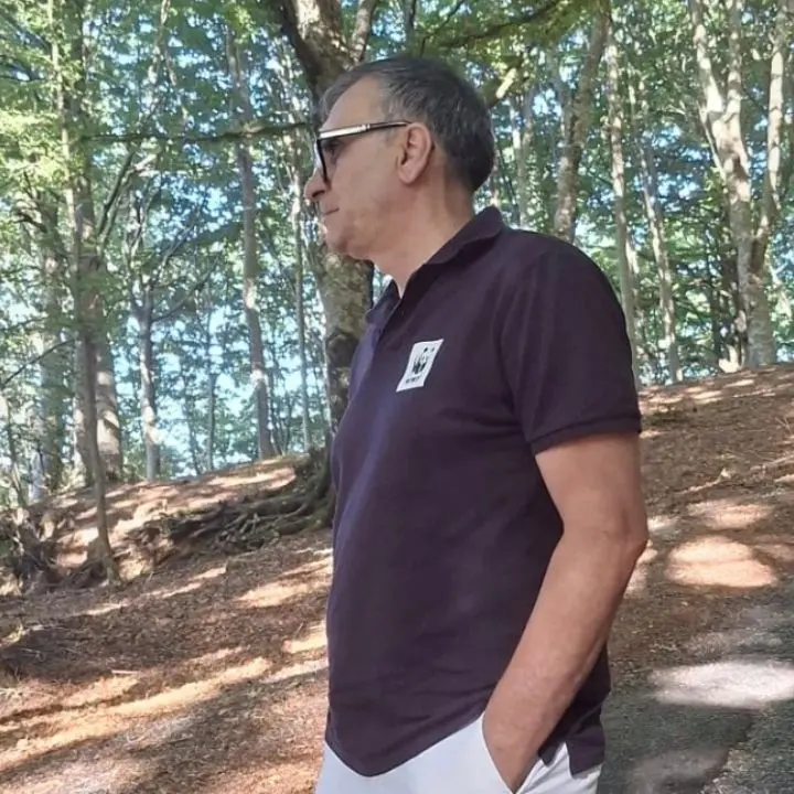 Fagnano Castello, Campana contro il taglio della faggeta: «Fermate le motoseghe»\n